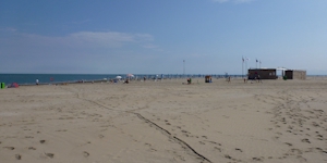 Strand von Albarella